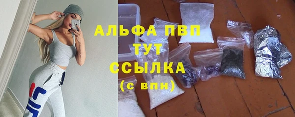 прущие грибы Алзамай