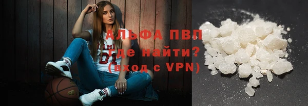 прущие грибы Алзамай