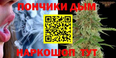 индика Краснокаменск