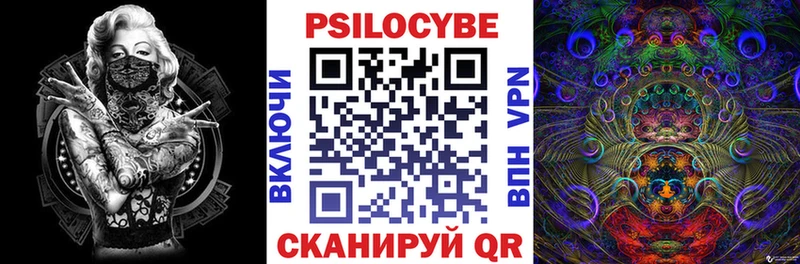 хочу наркоту  Кизилюрт  Галлюциногенные грибы Psilocybe 