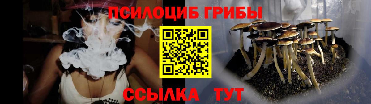 Псилоцибиновые грибы прущие грибы  Вход с VPN  Кизилюрт 