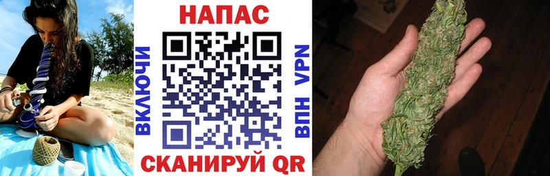 Конопля гибрид  мега ссылки  Кизилюрт 